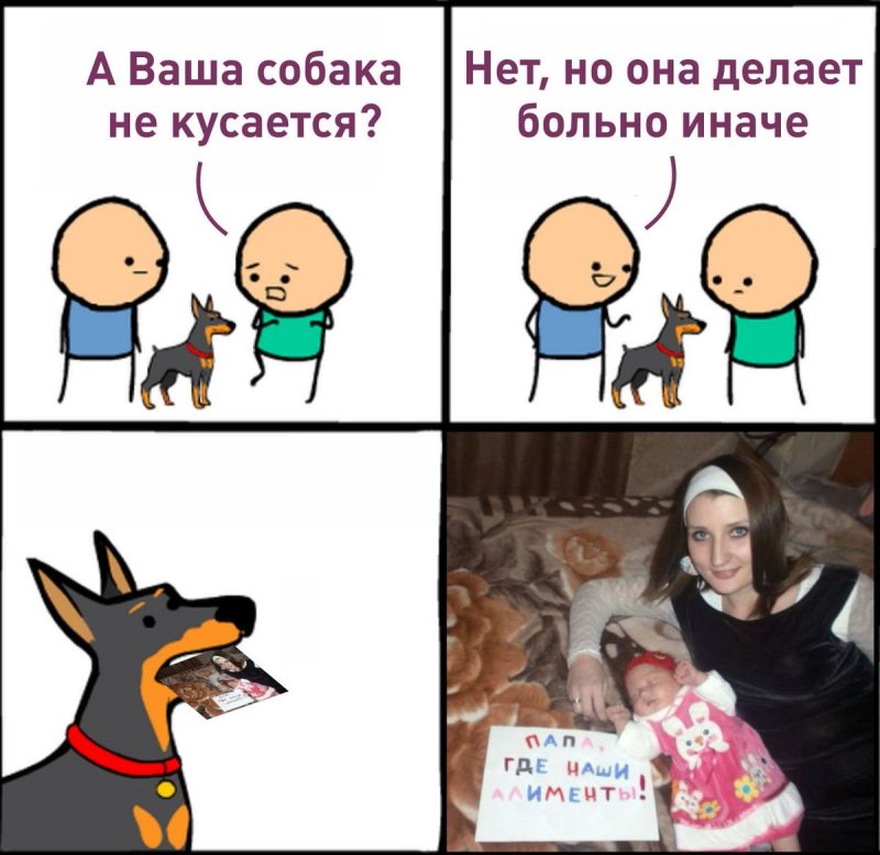 Ваша собака не кусается