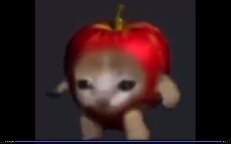 Котик в яблоке Мем