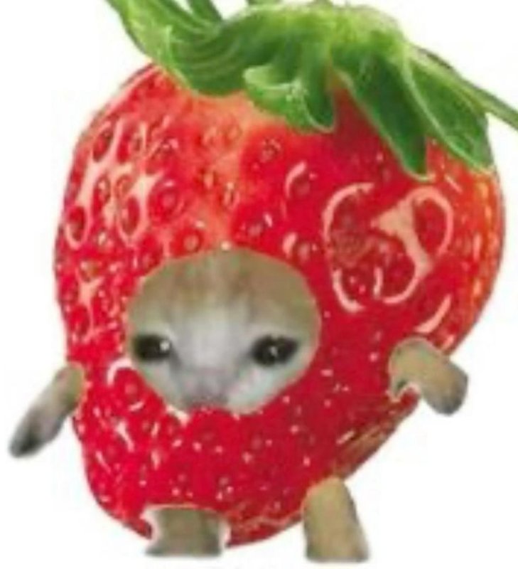 Кот в клубнике ава