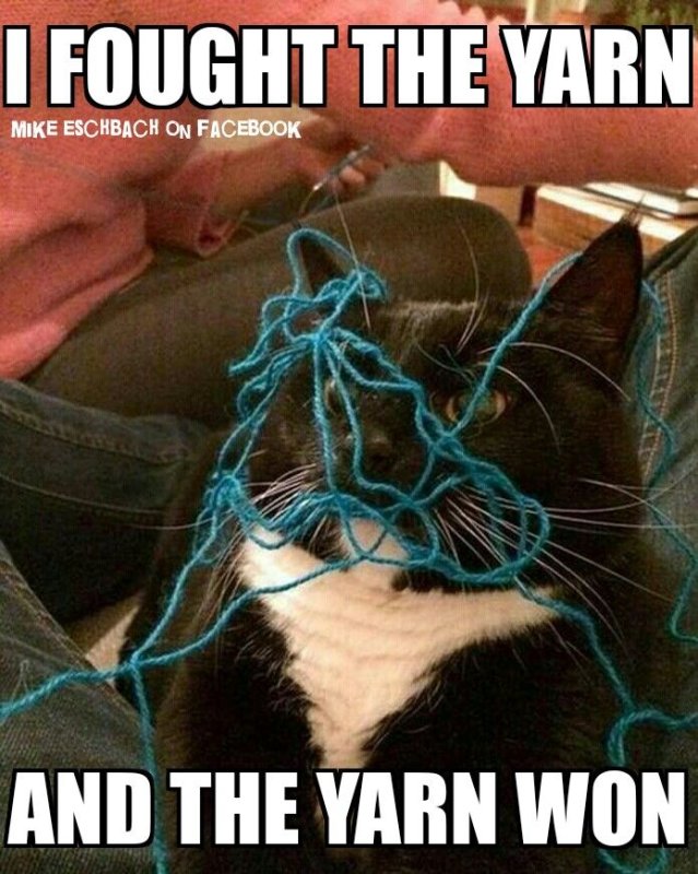 Кот с нитками