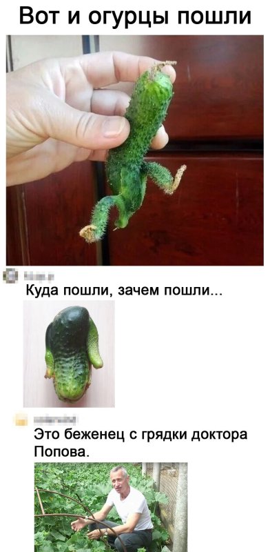 Смешной огурец