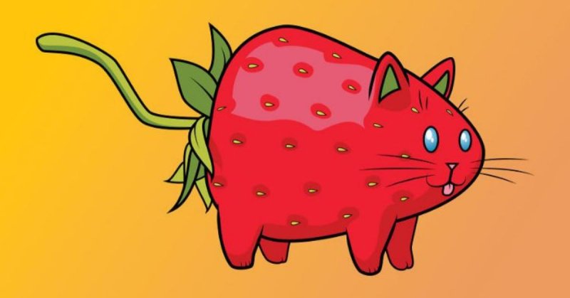 Земляничный кот