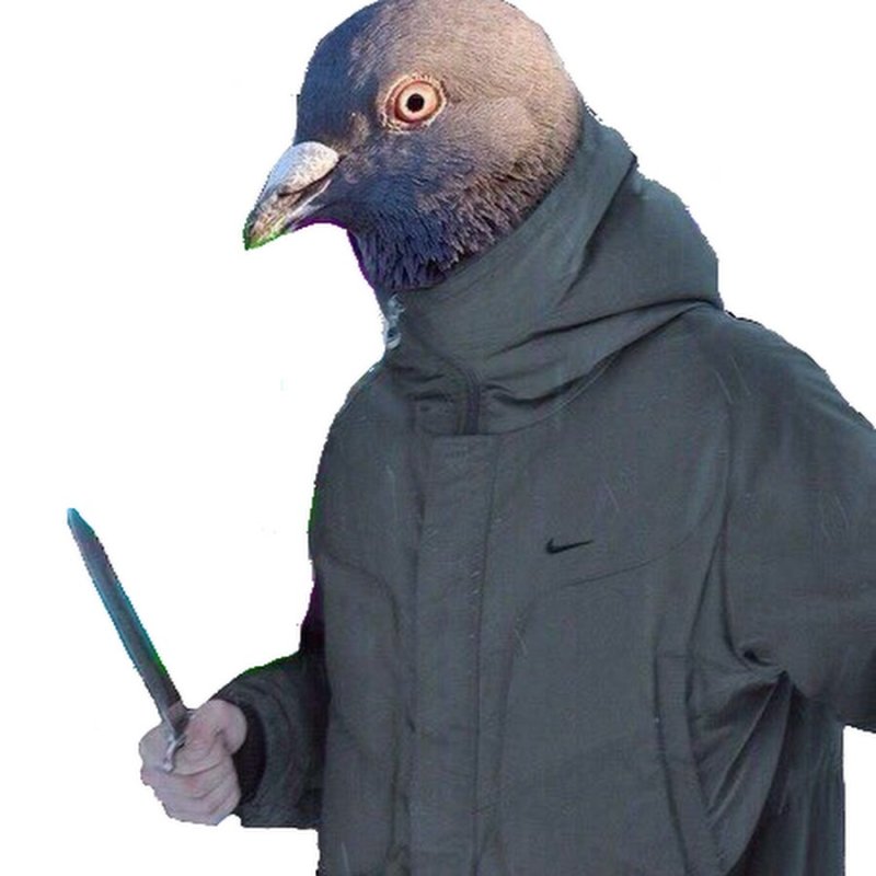 Человек голубь