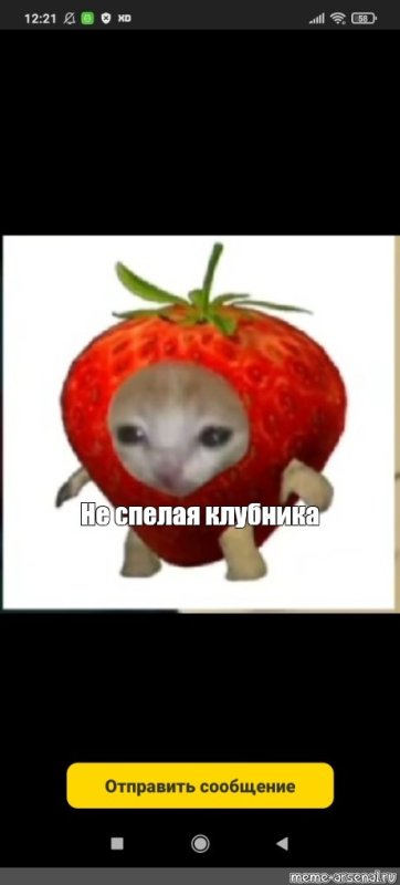 Кот яблоко Мем