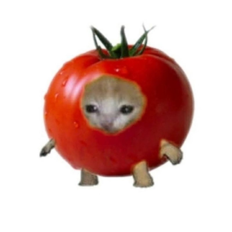 Кот в костюме клубники