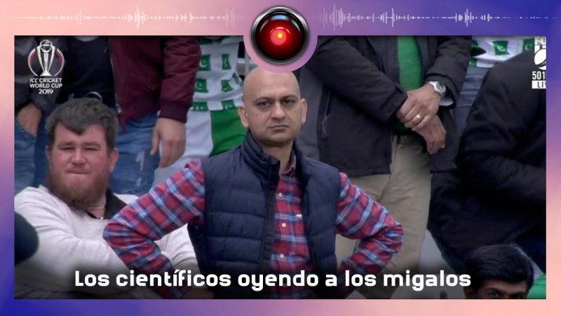 VTV Bylec Herb d ,JRB