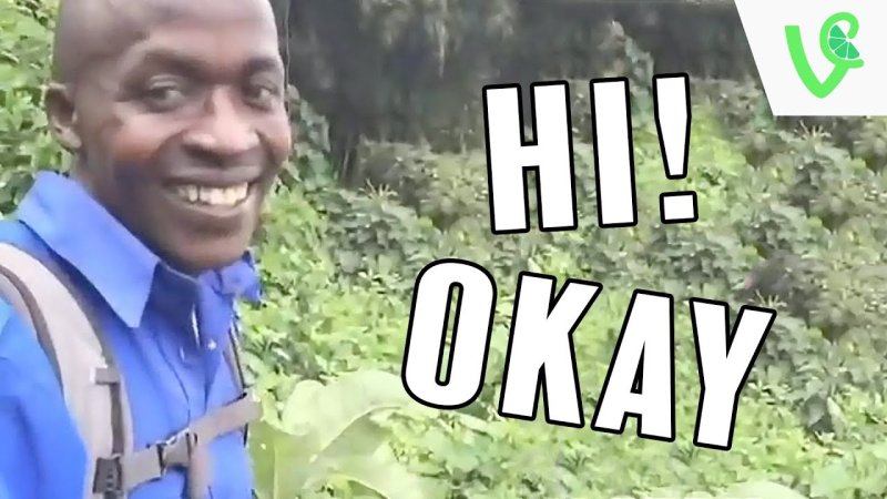 Hi okay meme