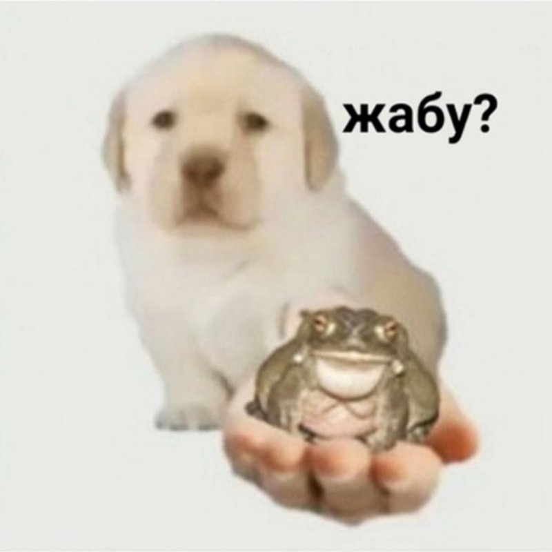 Jabu Мем щенок
