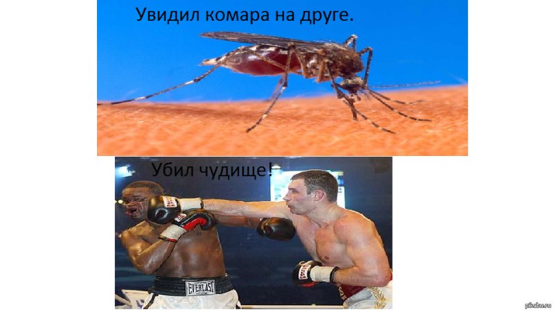 Комары мемы