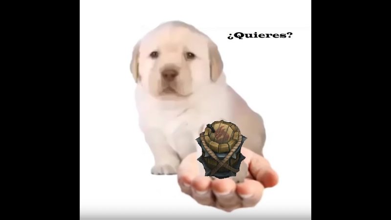 Собака на руках Мем