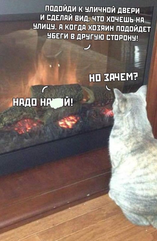 Кот в камине Мем