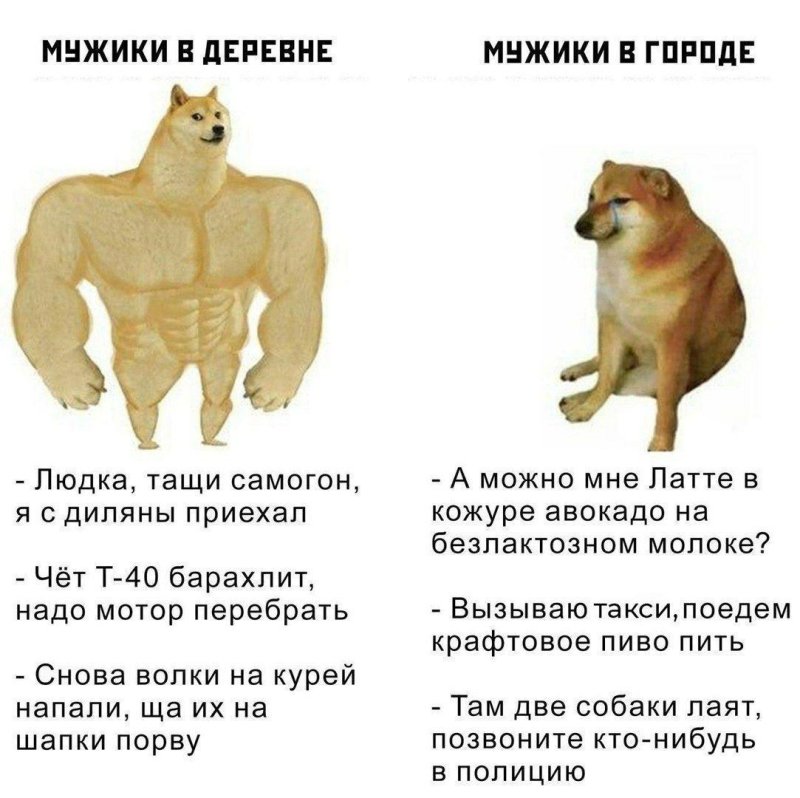 Сильная собака и слабая Мим