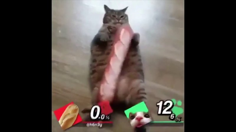 Кот француз Мем