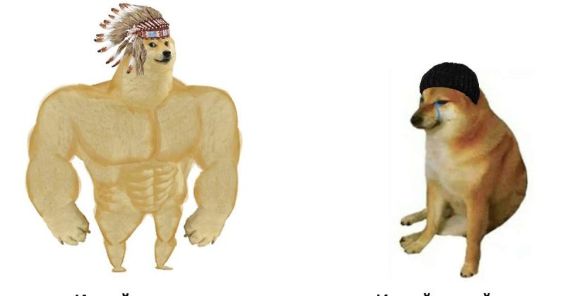 Мем собаки раньше