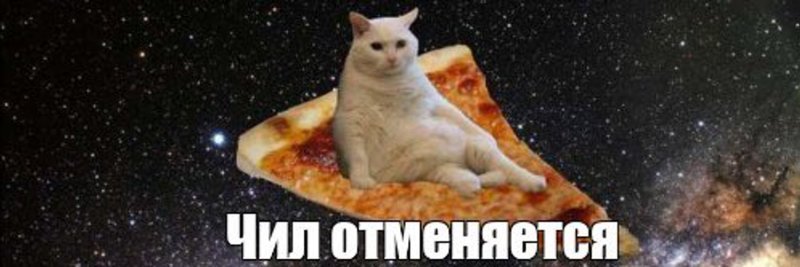 Кот и пицца