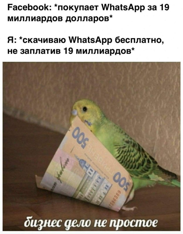 Попугай с деньгами