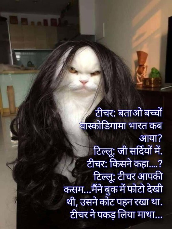 Кот с челкой