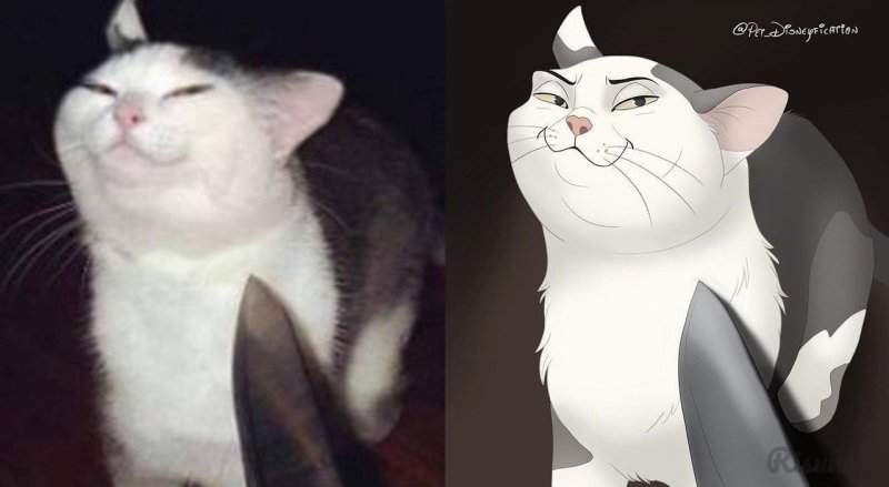 Кот Мем