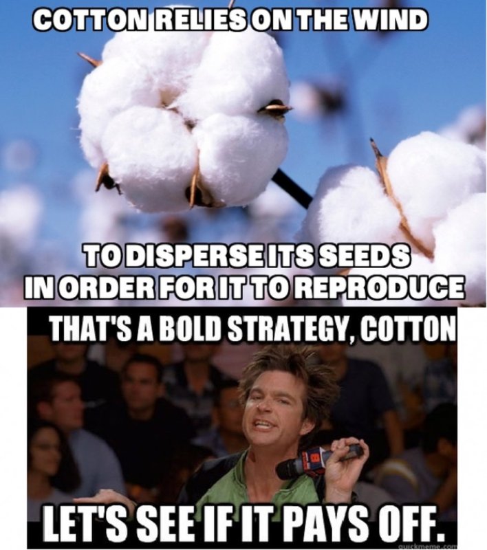 Хлопок прикол