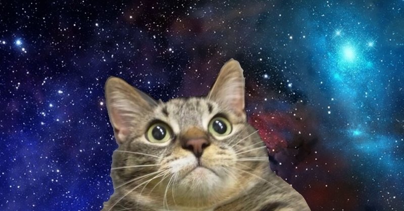 Космическая кошка