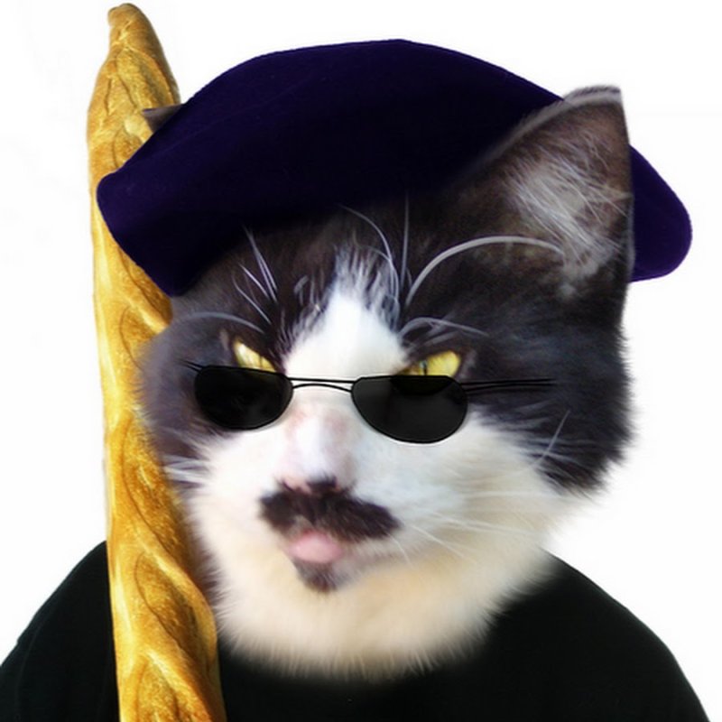 Кот с усами