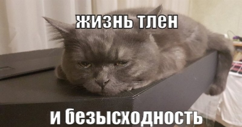 Котик в депрессии