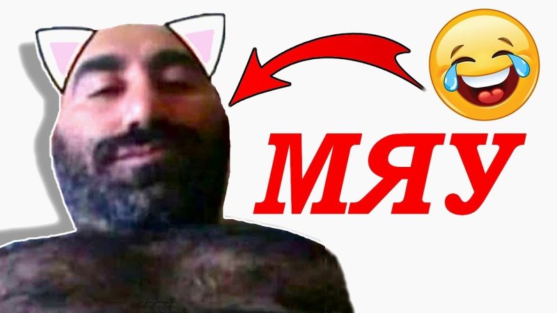 Мяу мужик
