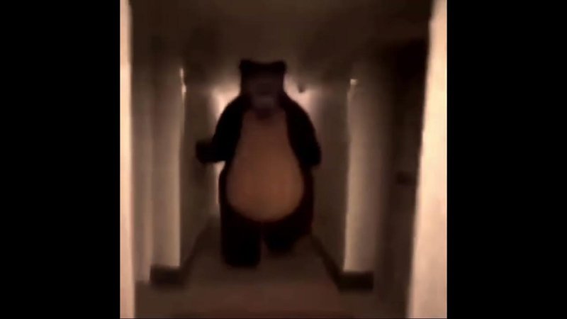 Медведь бежит по коридору