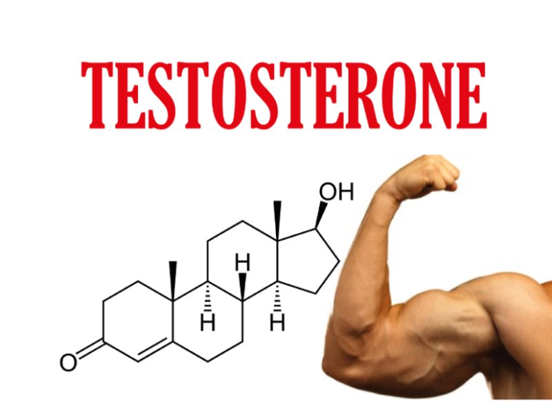 Тестостерон на белом фоне