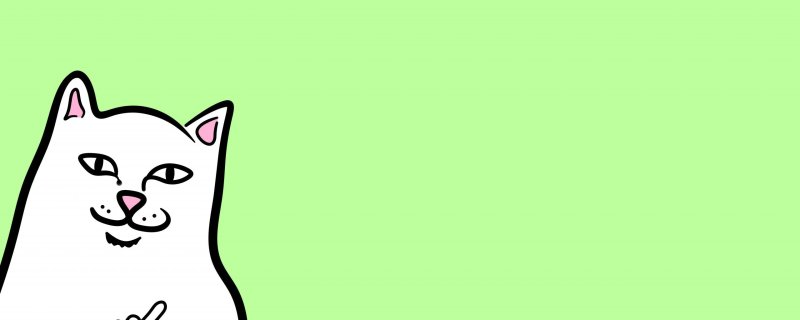 Кот Минимализм