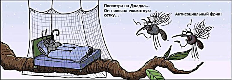 Комары юмор