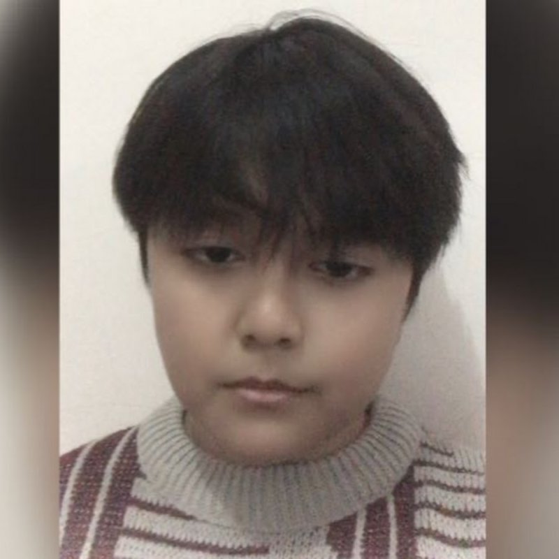 Гифы котики