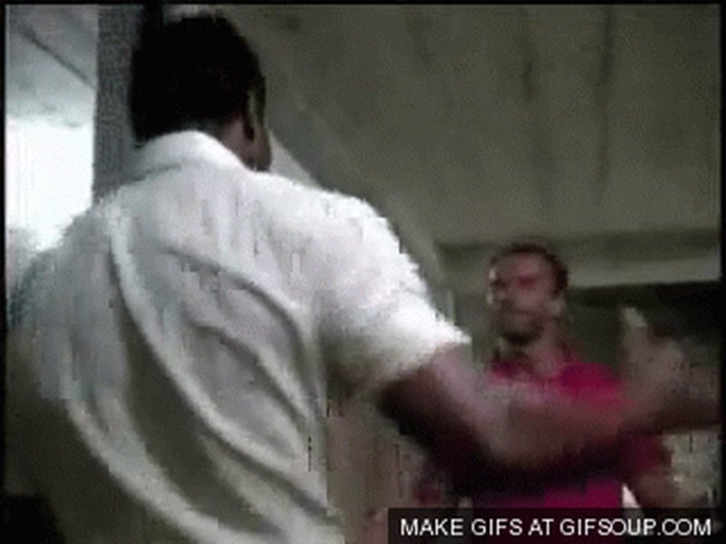 Качки здороваются