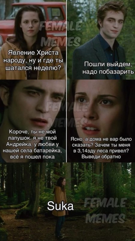 Сумерки мемы