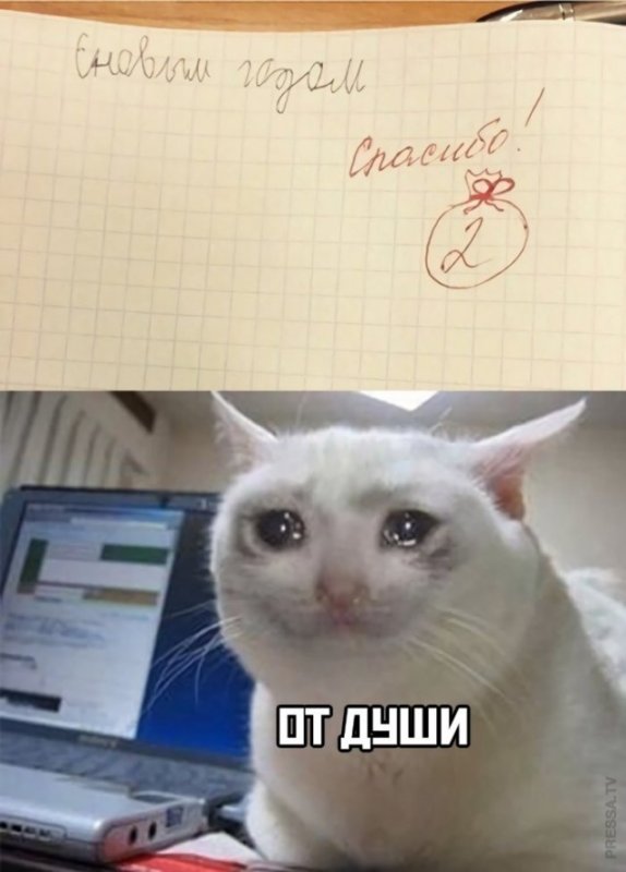 Плачущий кот Мем