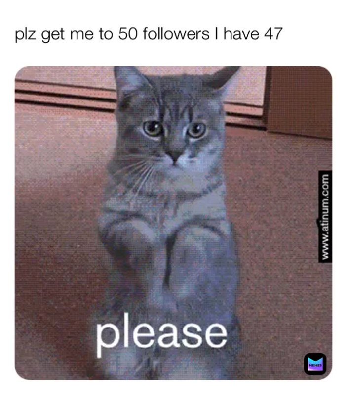 Кот просит гиф