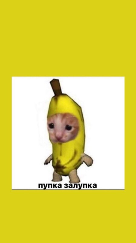 Котик в костюме банана