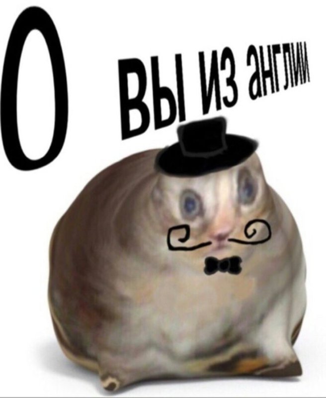 Кот оу вы из англии