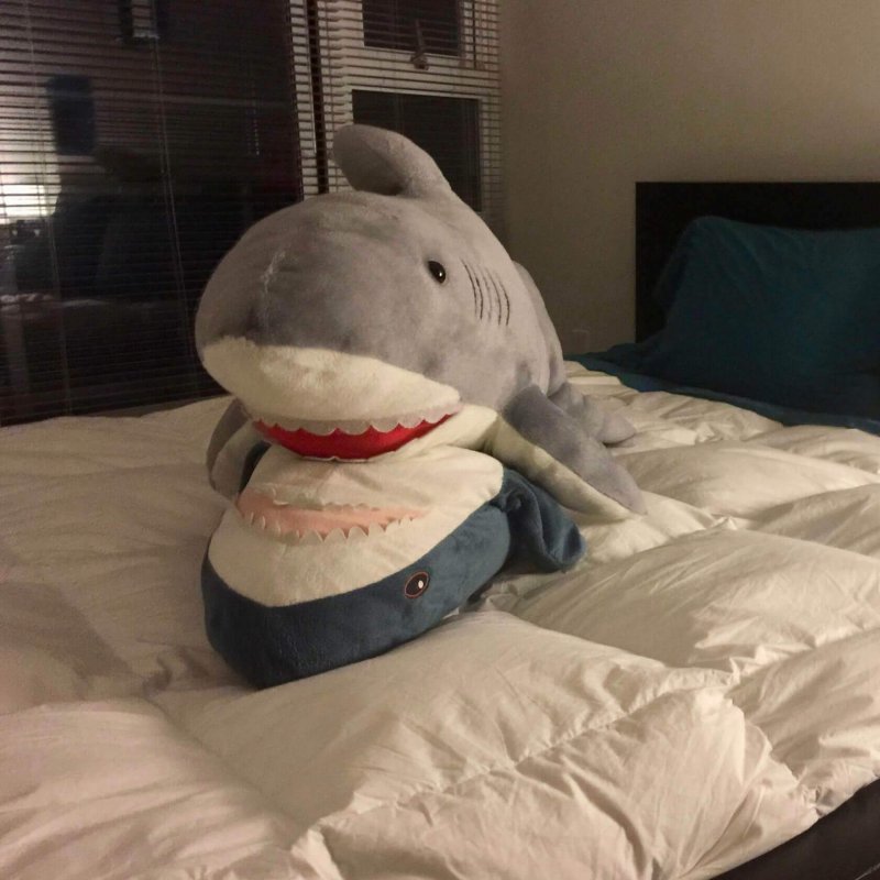 Акула из ikea