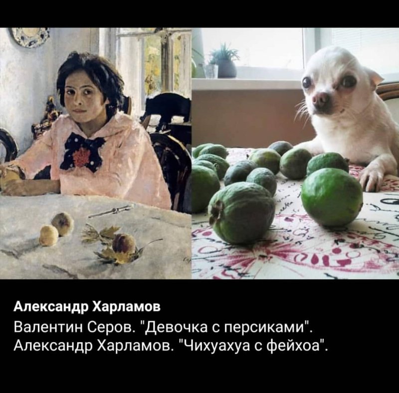 Леаювочка с персиками прикол