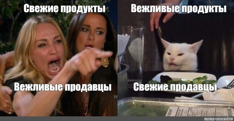 Мемы с котом и девушками с надписями
