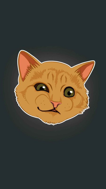 Кот Мем