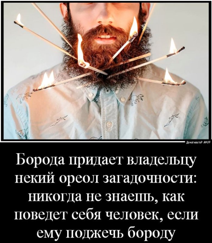 Борода придает суровость