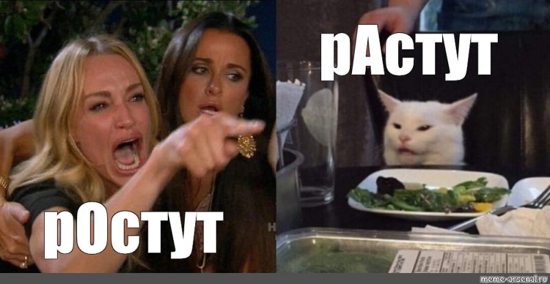 Девушки орут на кота