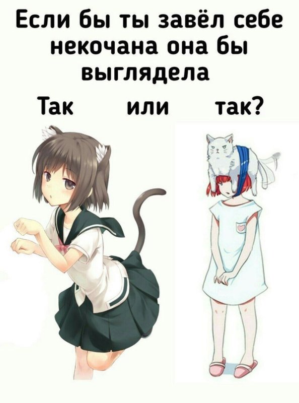 Аниме девочки с подвохом