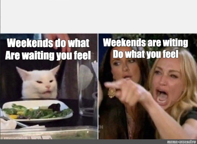 Мем женщина и кот