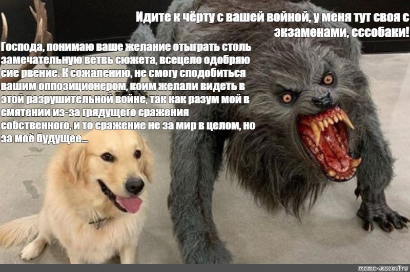 Мемы про оборотней