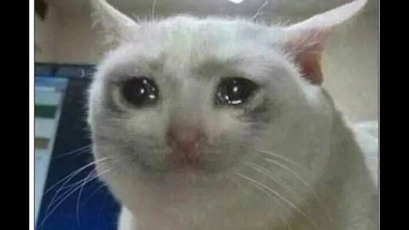 Грустные котики со слезами