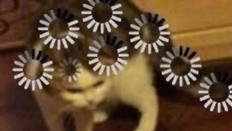 Котик с загрузкой на лбу