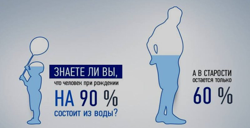 Человек из воды состоит на процентов